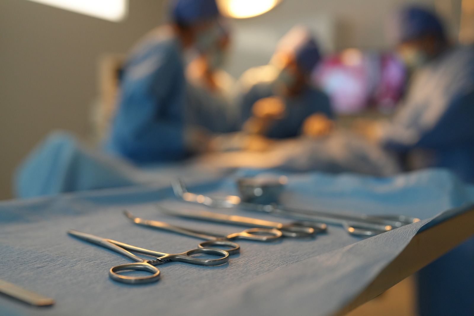 Physical Therapy Services in Fitchburg, MA Elevated PT